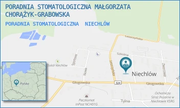 PORADNIA STOMATOLOGICZNA - PORADNIA STOMATOLOGICZNA MAŁGORZATA CHORĄŻYK-GRABOWSKA - UL. KRÓTKA 5,  NIECHLÓW