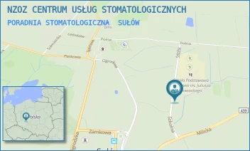 PORADNIA STOMATOLOGICZNA - NZOZ CENTRUM USŁUG STOMATOLOGICZNYCH - UL. SZKOLNA 6,  SUŁÓW
