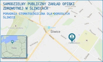 PORADNIA STOMATOLOGICZNA DLA DOROSŁYCH - SAMODZIELNY PUBLICZNY ZAKŁAD OPIEKI ZDROWOTNEJ W ŚLIWICACH - SZKOLNA 7,  ŚLIWICE