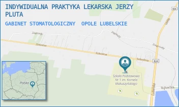 GABINET STOMATOLOGICZNY - INDYWIDUALNA PRAKTYKA LEKARSKA JERZY PLUTA - SZKOLNA 5,  OPOLE LUBELSKIE