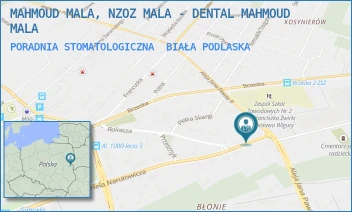 PORADNIA STOMATOLOGICZNA - MAHMOUD MALA, NZOZ MALA - DENTAL MAHMOUD MALA - NARUTOWICZA 82,  BIAŁA PODLASKA