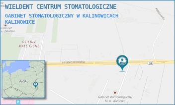 GABINET STOMATOLOGICZNY W KALINOWICACH - WIELDENT CENTRUM STOMATOLOGICZNE - 257 J,  KALINOWICE