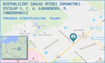 PORADNIA STOMATOLOGICZNA - NIEPUBLICZNY ZAKŁAD OPIEKI ZDROWOTNEJ ESCULAP S. C. A. ŁABANOWSKA, R. CHWEDOROWICZ - PARTYZANTÓW 43,  PUŁAWY