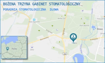 PORADNIA STOMATOLOGICZNA - BOŻENA TRZYNA GABINET STOMATOLOGICZNY - UL. KOLEJOWA 7,  IŁOWA