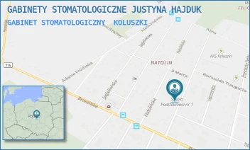 GABINET STOMATOLOGICZNY - GABINETY STOMATOLOGICZNE JUSTYNA HAJDUK - UL. ZAGAJNIKOWA 12,  KOLUSZKI