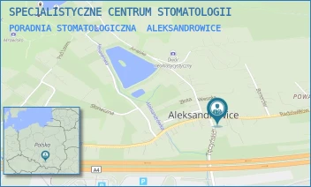 PORADNIA STOMATOLOGICZNA - SPECJALISTYCZNE CENTRUM STOMATOLOGII - ALEKSANDROWICE 133,  ALEKSANDROWICE