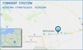 WIŚNIOWA STOMATOLOGIA - ST0MADENT STRZYŻÓW - WIŚNIOWA 136,  WIŚNIOWA