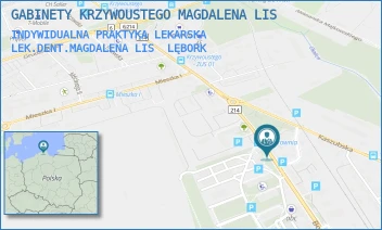 INDYWIDUALNA PRAKTYKA LEKARSKA LEK.DENT.MAGDALENA LIS - GABINETY KRZYWOUSTEGO MAGDALENA LIS - UL. KRZYWOUSTEGO 26,  LĘBORK