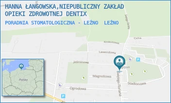 PORADNIA STOMATOLOGICZNA - LEŹNO - HANNA ŁANGOWSKA,NIEPUBLICZNY ZAKŁAD OPIEKI ZDROWOTNEJ DENTIX - LEŹNO 28,  LEŹNO
