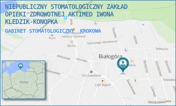 GABINET STOMATOLOGICZNY - NIEPUBLICZNY STOMATOLOGICZNY ZAKŁAD OPIEKI ZDROWOTNEJ AKTIMED IWONA KLEDZIK-KONOPKA - UL. SZKOLNA 6,  KROKOWA
