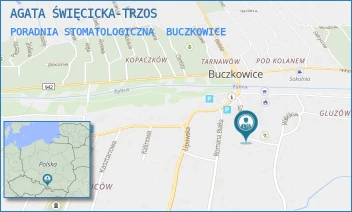 PORADNIA STOMATOLOGICZNA - AGATA ŚWIĘCICKA-TRZOS - UL. SZKOLNA 799 /GMINNY OŚ. ZDRW/ [BRAK],  BUCZKOWICE