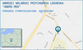 PORADNIA STOMATOLOGICZNA - ANDRZEJ WOLAŃSKI PRZYCHODNIA LEKARSKA "ANDRE-MED" - UL. CZĘSTOCHOWSKA 31,  KOZIEGŁOWY