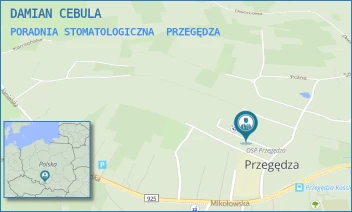 PORADNIA STOMATOLOGICZNA - DAMIAN CEBULA - UL. SZKOLNA 13/A,  PRZEGĘDZA