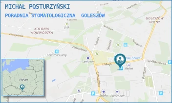 PORADNIA STOMATOLOGICZNA - MICHAŁ POSTURZYŃSKI - UL. 1 MAJA 10,  GOLESZÓW
