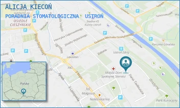 PORADNIA STOMATOLOGICZNA - ALICJA KIECOŃ - UL. MICKIEWICZA 14,  USTROŃ