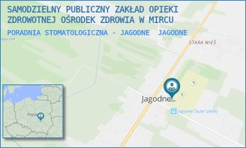 PORADNIA STOMATOLOGICZNA - JAGODNE - SAMODZIELNY PUBLICZNY ZAKŁAD OPIEKI ZDROWOTNEJ OŚRODEK ZDROWIA W MIRCU - BRAK 138A,  JAGODNE