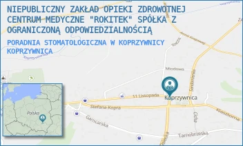 PORADNIA STOMATOLOGICZNA W KOPRZYWNICY - NIEPUBLICZNY ZAKŁAD OPIEKI ZDROWOTNEJ CENTRUM MEDYCZNE "ROKITEK" SPÓŁKA Z OGRANICZONĄ ODPOWIEDZIALNOŚCIĄ - RYNEK 10,  KOPRZYWNICA