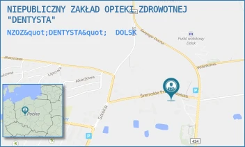 NZOZ"DENTYSTA" - NIEPUBLICZNY ZAKŁAD OPIEKI ZDROWOTNEJ "DENTYSTA" - ŚREMSKIE PRZEDMIEŚCIE 32,  DOLSK