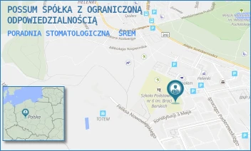 PORADNIA STOMATOLOGICZNA - POSSUM SPÓŁKA Z OGRANICZONĄ ODPOWIEDZIALNOŚCIĄ - IGNACEGO PADEREWSKIEGO 4,  ŚREM