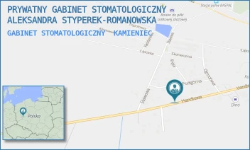 GABINET STOMATOLOGICZNY - PRYWATNY GABINET STOMATOLOGICZNY ALEKSANDRA STYPEREK-ROMANOWSKA - HANDLOWA 16,  KAMIENIEC