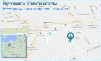 PRZYCHODNIA STOMATOLOGICZNA - PRZYCHODNIA STOMATOLOGICZNA - REYMONTA 1A,  OPALENICA
