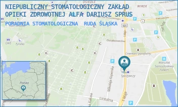 PORADNIA STOMATOLOGICZNA - NIEPUBLICZNY STOMATOLOGICZNY ZAKŁAD OPIEKI ZDROWOTNEJ ALFA DARIUSZ SPRUS - UL. 1 MAJA 236,  RUDA ŚLĄSKA