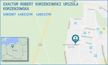 GABINET ŁABISZYN - EXACTUM ROBERT KORZENIOWSKI URSZULA KORZENIOWSKA S.C. - POWSTAŃCÓW WIELKOPOLSKICH 17A,  ŁABISZYN