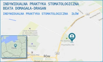 INDYWIDUALNA PRAKTYKA STOMATOLOGICZNA - INDYWIDUALNA PRAKTYKA STOMATOLOGICZNA BEATA DOMAGAŁA-DRAGAN - PLAC KASZTANOWY 6,  IŁÓW
