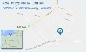 PORADNIA STOMATOLOGICZNA - NZOZ PRZYCHODNIA LINIEWO SPÓŁKA Z OGRANICZONĄ ODPOWIEDZIALNOŚCIĄ - UL. PSTRONGA I GRUSZKI 4,  LINIEWO